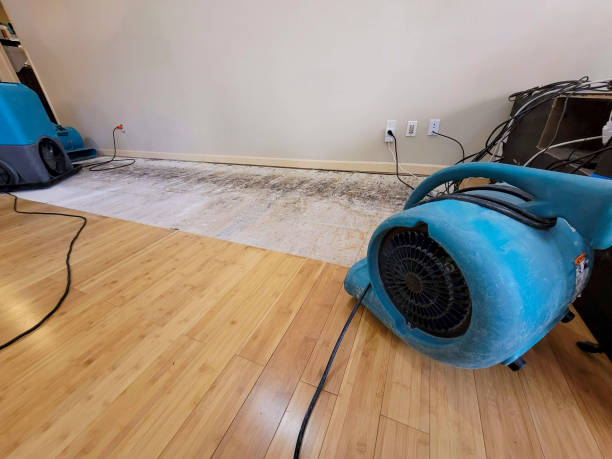 Professional Water Removal technician working in Sugarloaf, CA